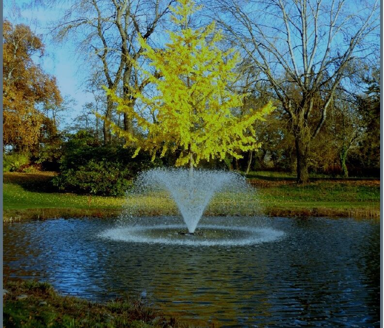 GOLF & NATUR November 2025 VON BERNARD REGISSER