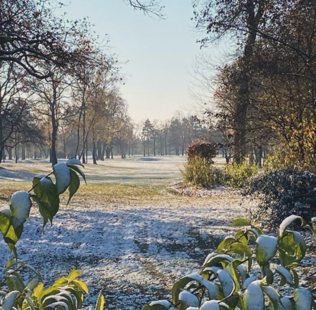 Elle est là …❄️⛷️

Chères Golfeuses, Chers golfeurs,

Les premiers frissons hivernaux se font ressentir et nous accueillons désormais une saison plus fraiche sur les greens du Rhin.

Afin de préserver l’état du terrain, nous avons mis en place un dispositif de jeu inédit que nous souhaiterions tester avec vous. Dès à présent, vous pourrez apercevoir deux drapeaux par trous, un sur le green et un second sur l’avant-green.

En cas de gel ou de neige (green blanchi), il est impératif de jouer en direction du drapeau positionné sur l’avant-green, en position hiver.

Si la météo reste clémente (pas de gel, pas de neige), vous pourrez cibler le drapeau habituel sur le green, muni d’une boule jaune sur son mat.

Nous espérons que chacun prendra les mesures nécessaires pour respecter ces dispositions, afin de pouvoir maintenir un terrain jouable toute l’année, et minimiser le travail du greenkeeping en termes de réparation, et d’entretien hivernal.

À tous un bel hiver au Golf du Rhin 🫶❄️✨